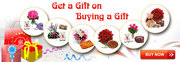 Best Chance to Get Free Gifts Offers at Infibeam.com