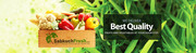 Organic Vegetables and Fruits Delivered to Your Home