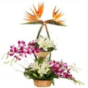 online flowers delivery in Allahabad