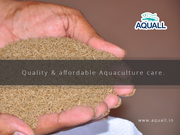 Get Aquaculture feeds online from best sellers in India – Aquall