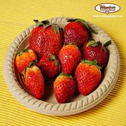 cornstarch crockery