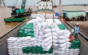 Seeking suppliers of rices and vegetable oils